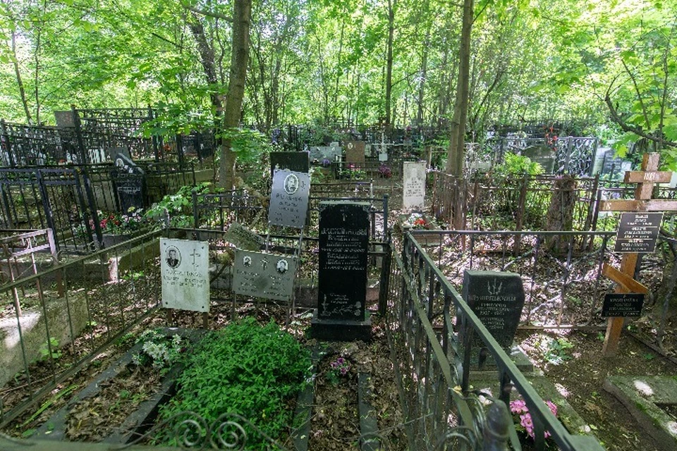 На Леонтьевском кладбище в Ярославле сотрудники полиции задержали двоих мужчин.