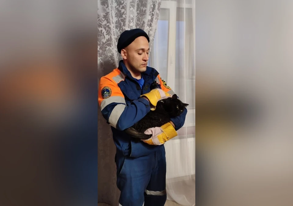 В селе Миловка Уфимского района помощь спасателей понадобилась котенку