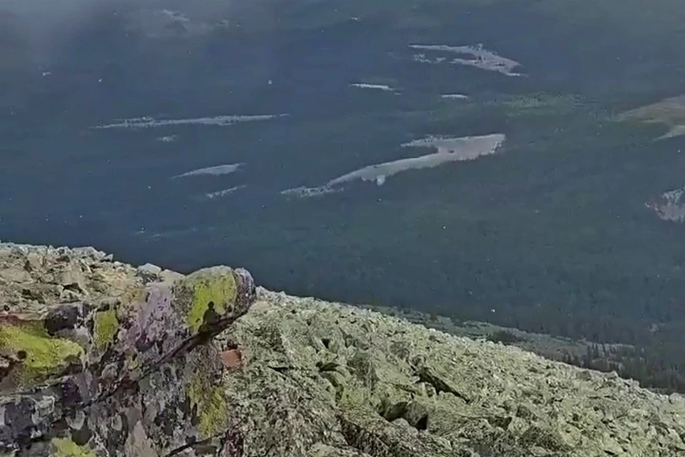 Фото: Соцсети