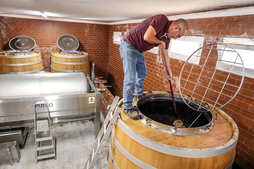 Сейчас несколько крупных винодельческих регионов Франции, особенно Бордо, испытывают трудности из-за падения спроса на вино, вызванного рядом причин.