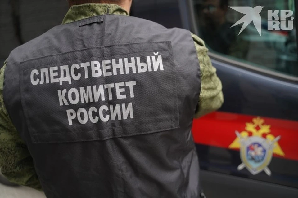 Фигурантов дела о незаконном полигоне в Турлатове посадили под домашний арест.