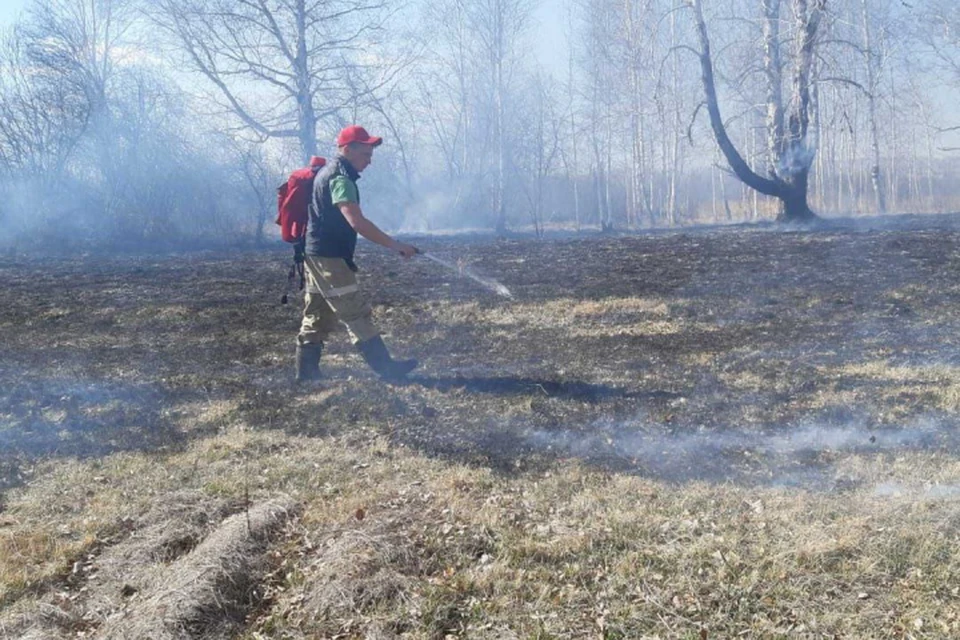 Два лесных пожара ликвидировали в Иркутской области за сутки