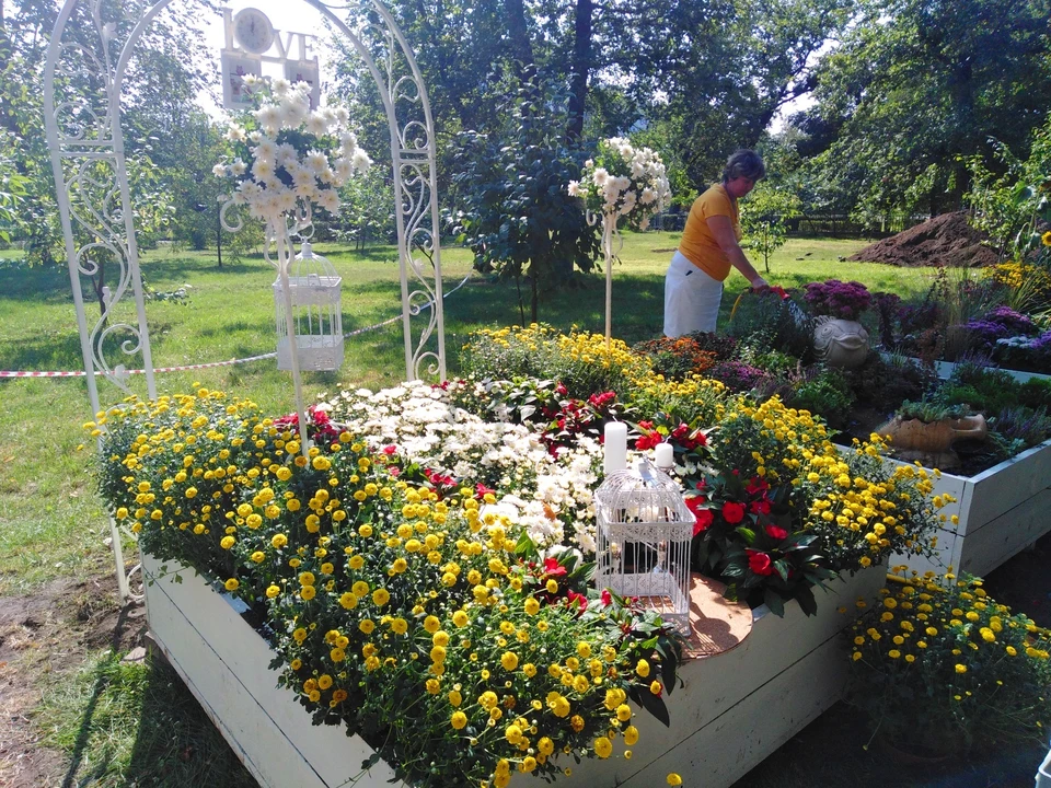 Белгородские дети с ОВЗ к фестивалю создадут «Сады здоровья».