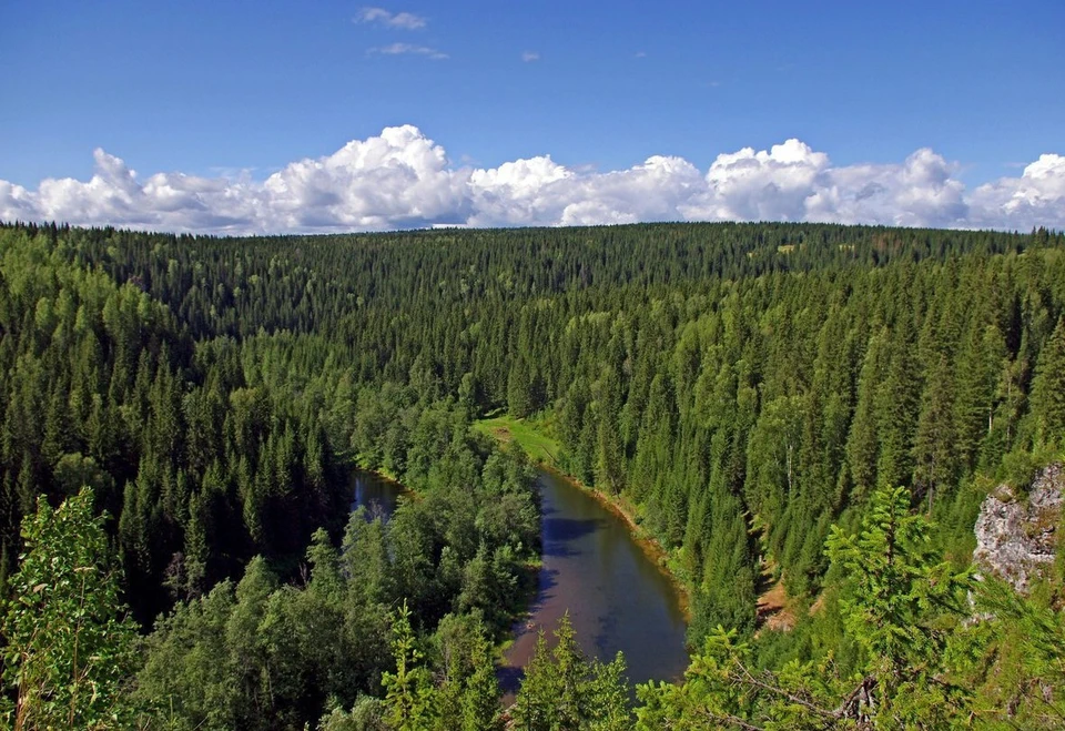 Глава Якутии подписал указ об отмене режима чрезвычайной ситуации в лесах. Фото: пресс-служба Минэкологии Якутии