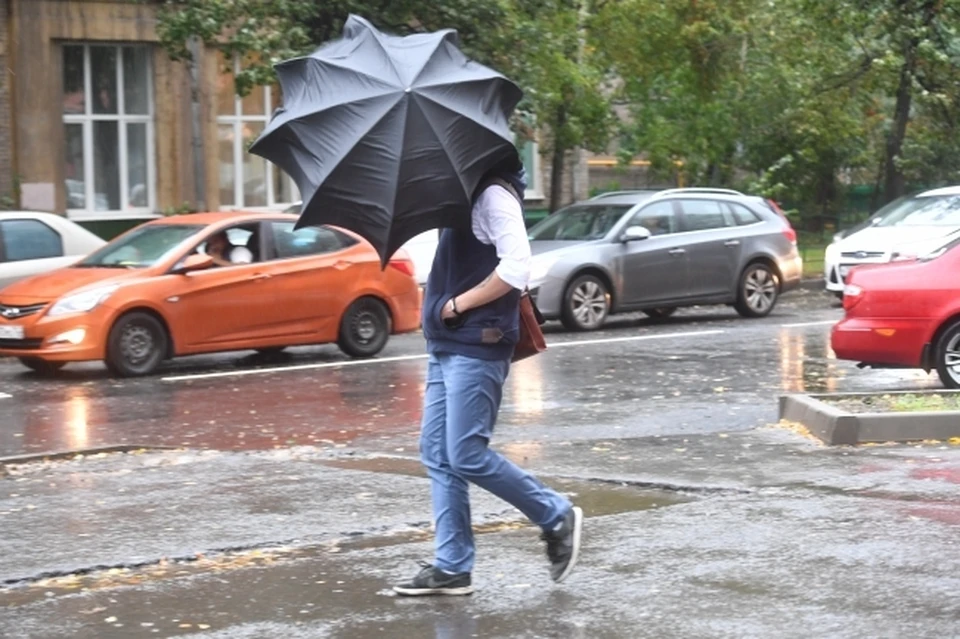 Пятница 8 сентября будет ветреной и дождливой в Хабаровском крае