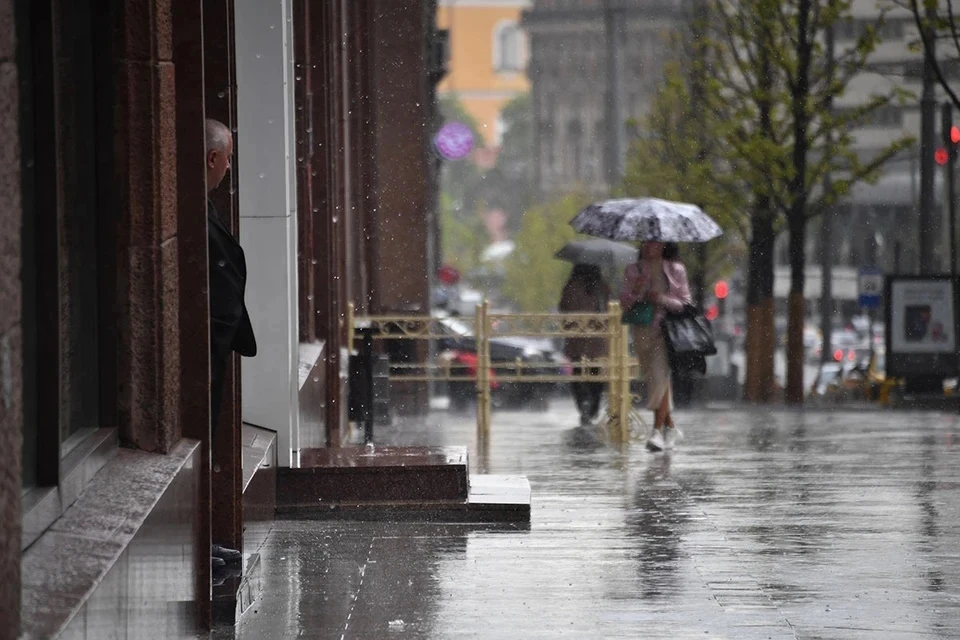 Небольшой дождь и до +16 градусов ожидают в Москве 8 сентября