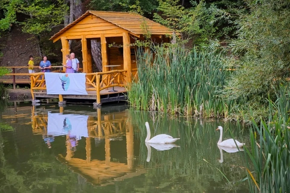 Черепашье озеро стало доступным для маломобильных туристов. Фото: Никита Крымский/ФГБУ "Заповедный Крым"/Tg