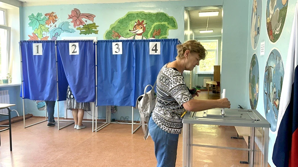 В ДНР завершился третий день очного голосования