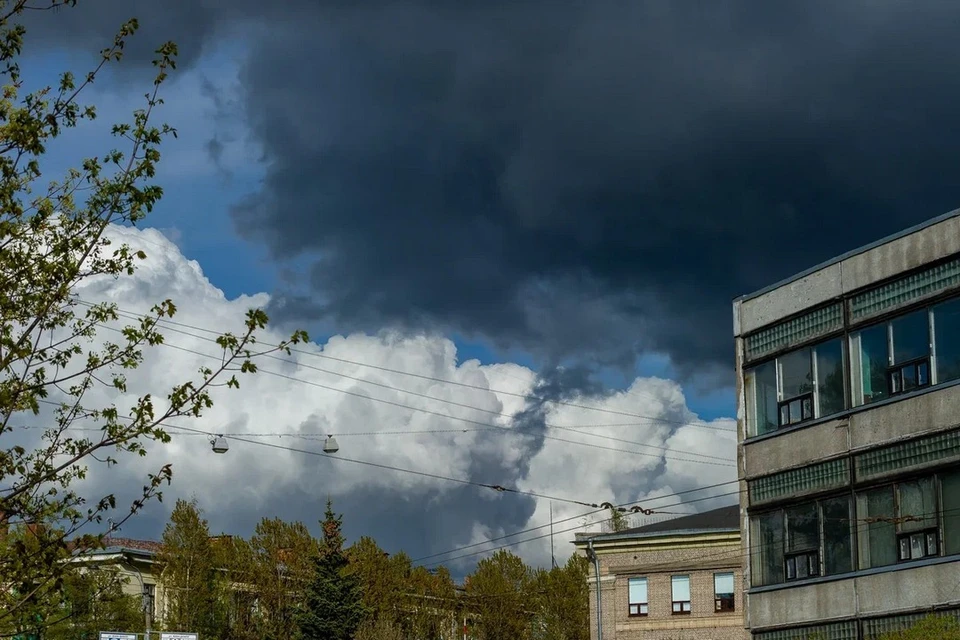 Прохладная осенняя погода с дождями придет в Петербург в четверг, 14 сентября.