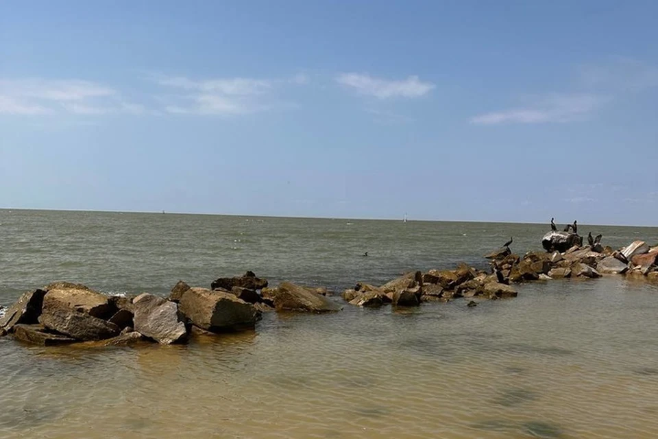 Азовское море в Ростовской области стало более соленым, а число креветок увеличилось