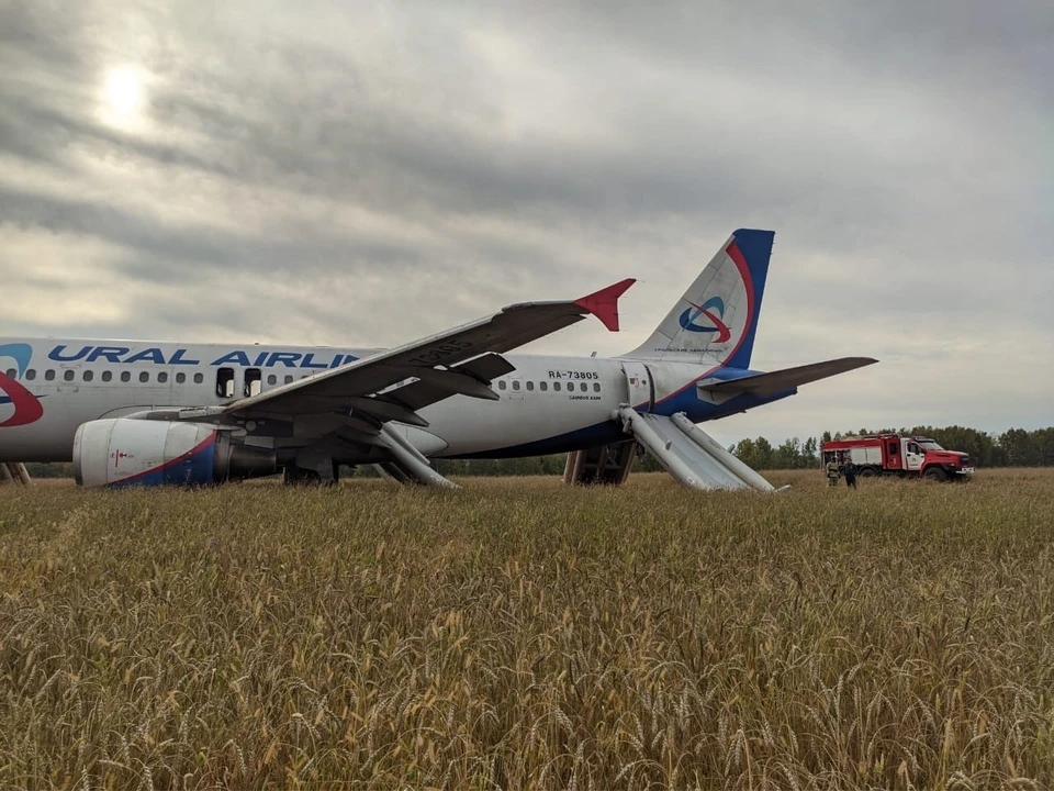 Опубликованы фото и видео самолета, севшего в поле в Новосибирской области. Фото: Западно-Сибирская транспортная прокуратура