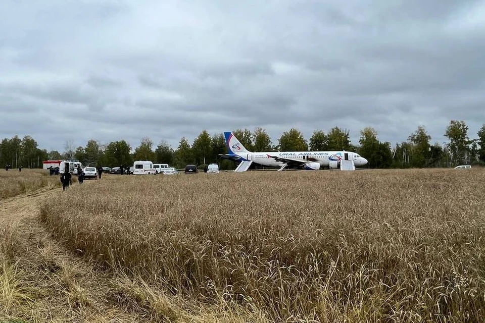 Юрист рассказал, что грозит пилотам самолета, севшего в поле под Новосибирском.