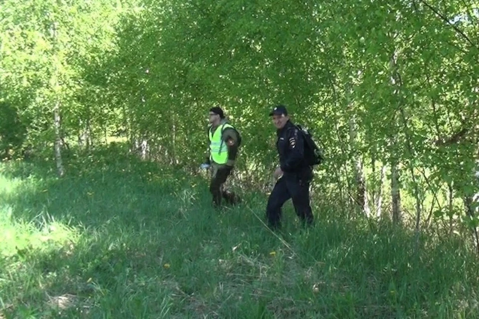 В Костромской области полицейские помогли заблудившейся бабушке выбраться из леса. Фото: пресс-служба УМВД России по Костромской области