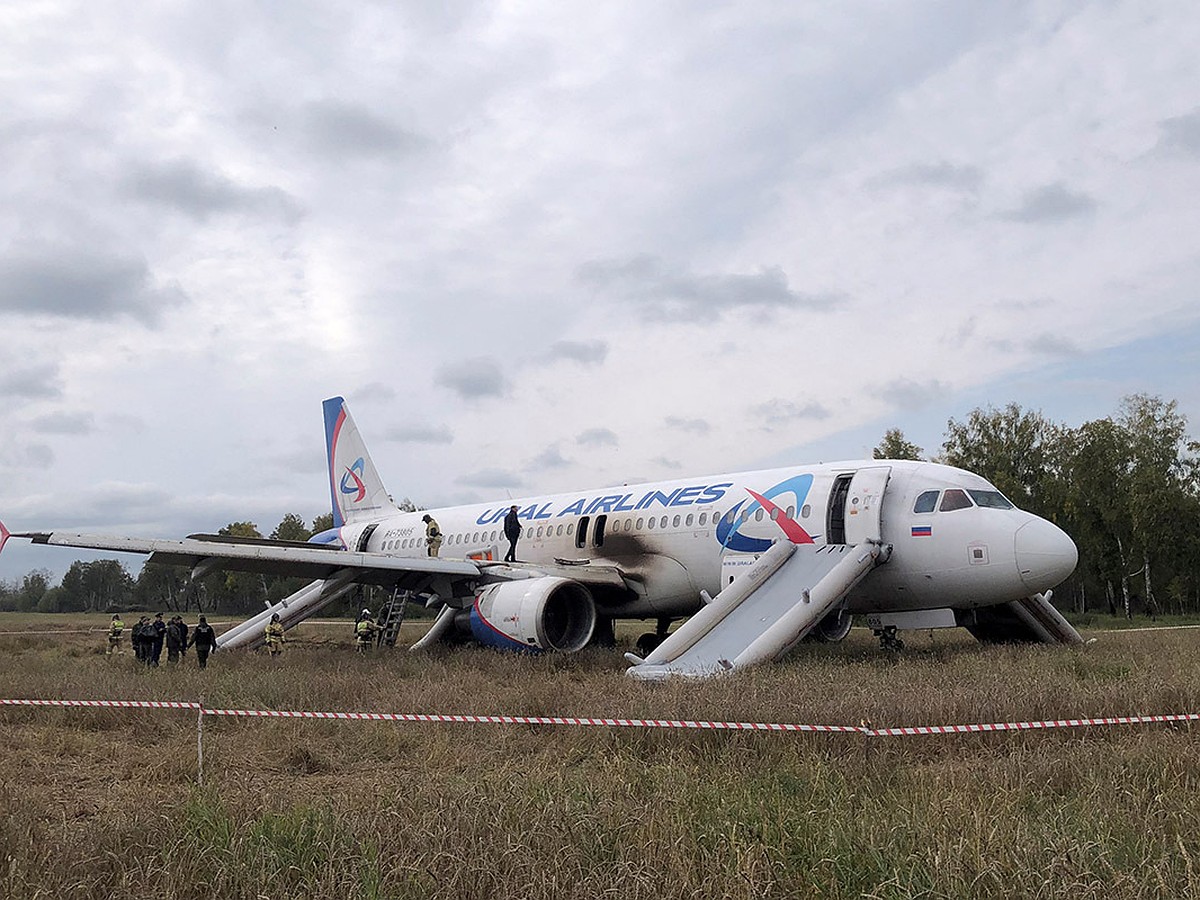 Чудо на пшеничном поле: пилоты самолета, летевшего из Сочи в Омск,  повторили подвиг Дамира Юсупова - KP.RU