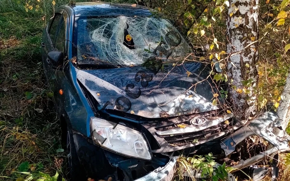 В Ясногорском районе автоледи на машине Lada съехала в кювет и врезалась в дерево