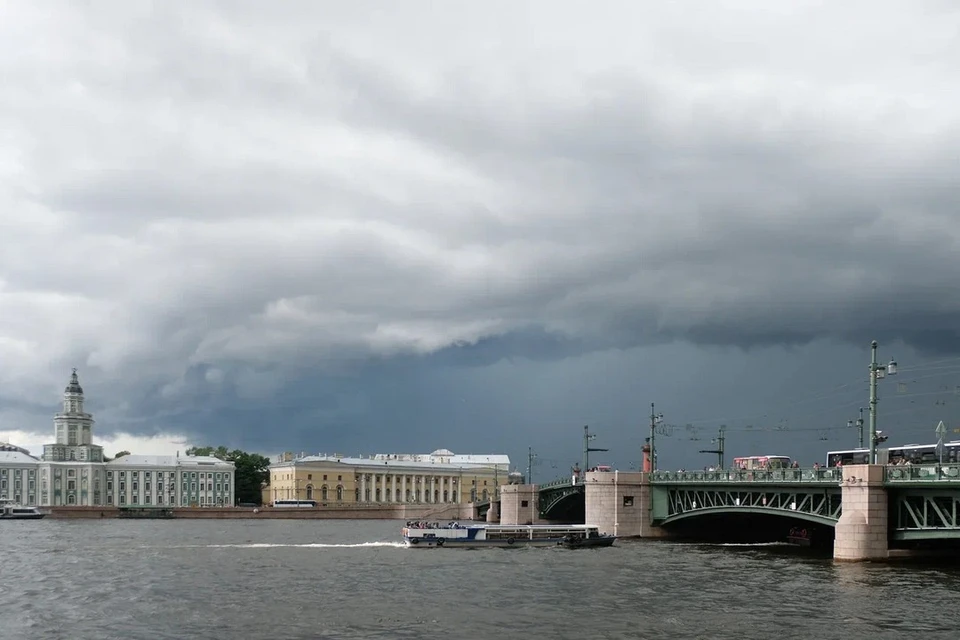 Пасмурная и дождливая погода ожидается в Петербурге 14 сентября.