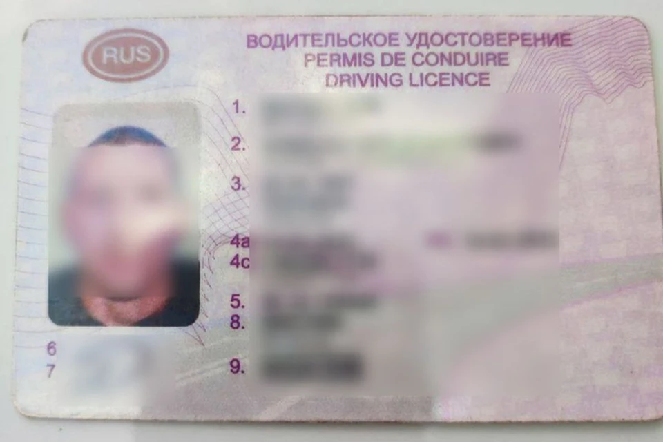 Как объяснил сам водитель, права он купил в интернете. ФОТО: тг-канал ГУ МВД России по Херсонской области