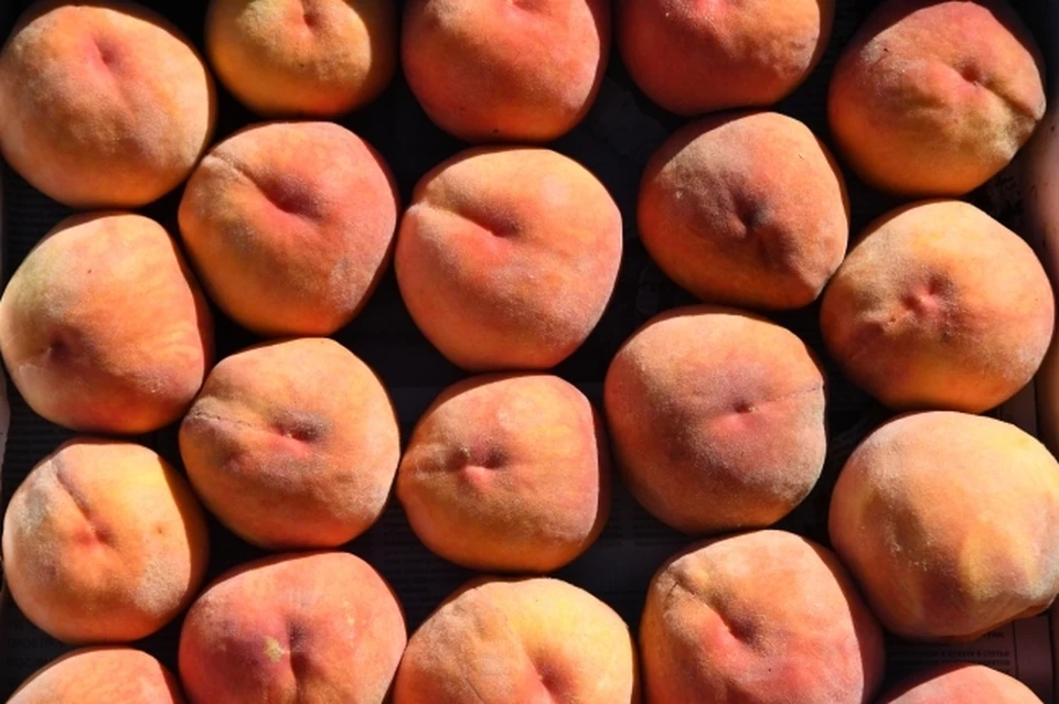 В порту Новороссийска нашли зараженные персики