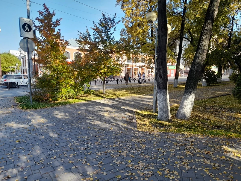 За полгода в Тюменскую область переехали почти 23 тысячи человек