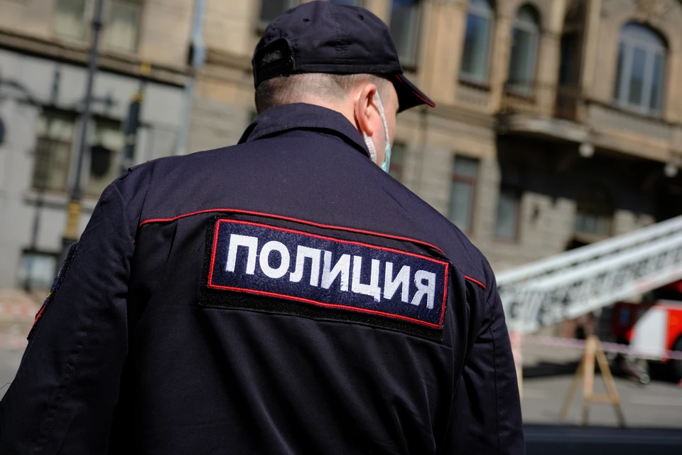 Мужчина отправили под подписку о невыезде за избиение охранника детского сада в Петербурге.