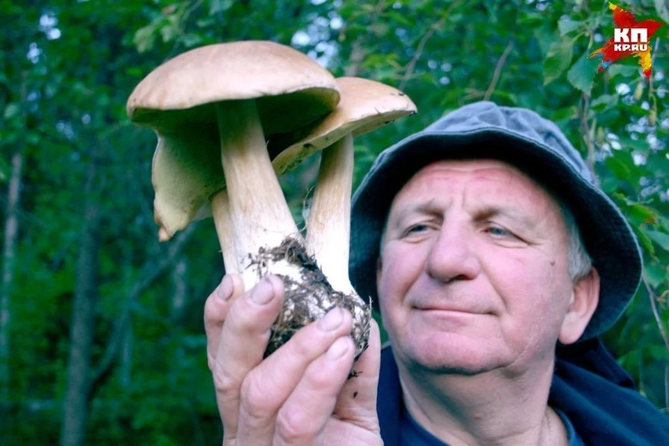 Пойти за грибами сейчас можно не в любой лес - есть запреты. Фото: В. МАЛАХОВ
