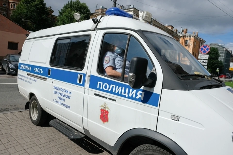 Полиция задержала подозреваемого в краже с железной дороги