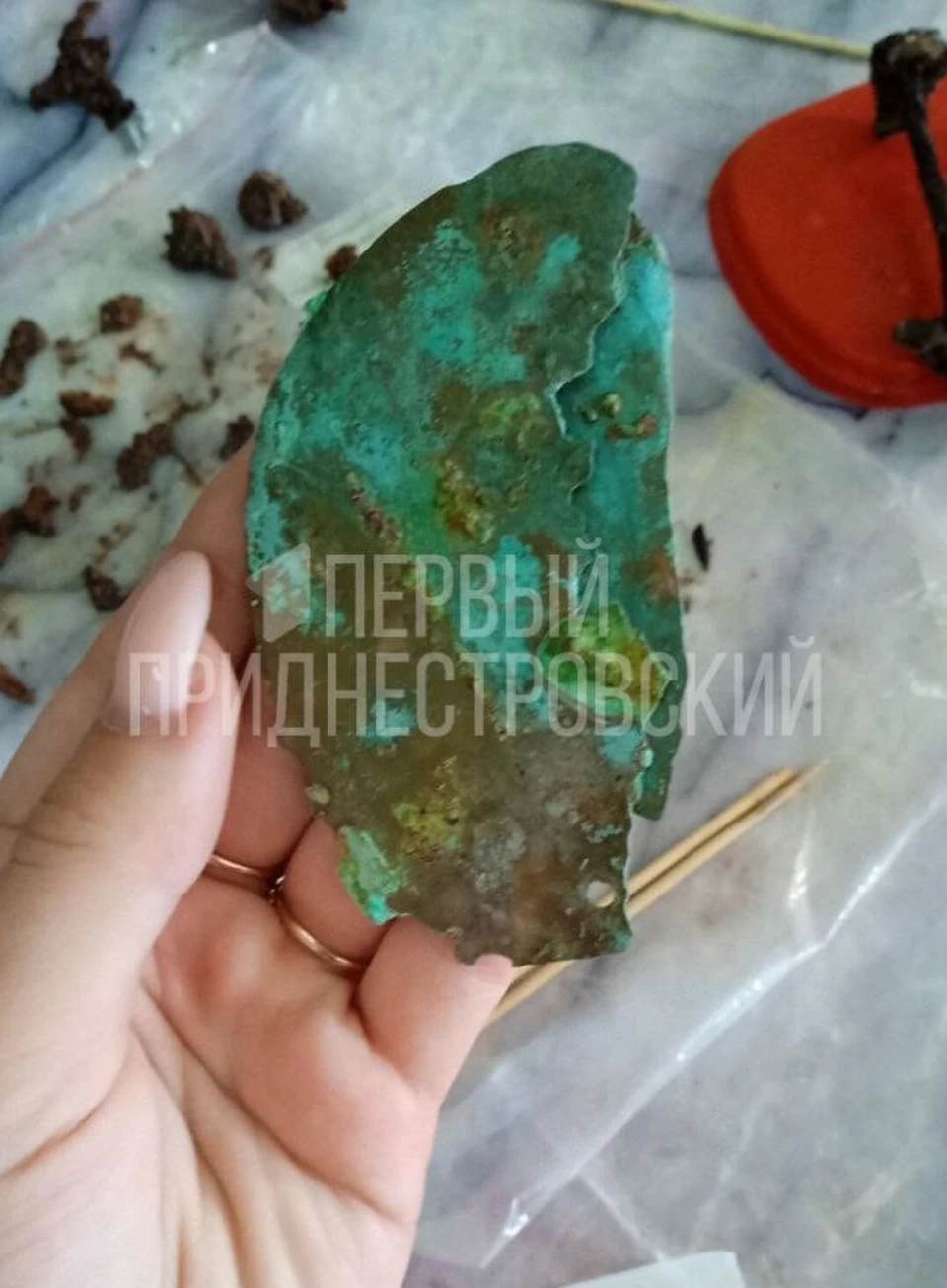 Два бронзовых скифских зеркальца обнаружили археологи в кургане у приднестровского села Коротное.