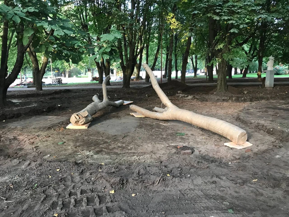 Так деревья выглядели еще до того, как их распаковали.