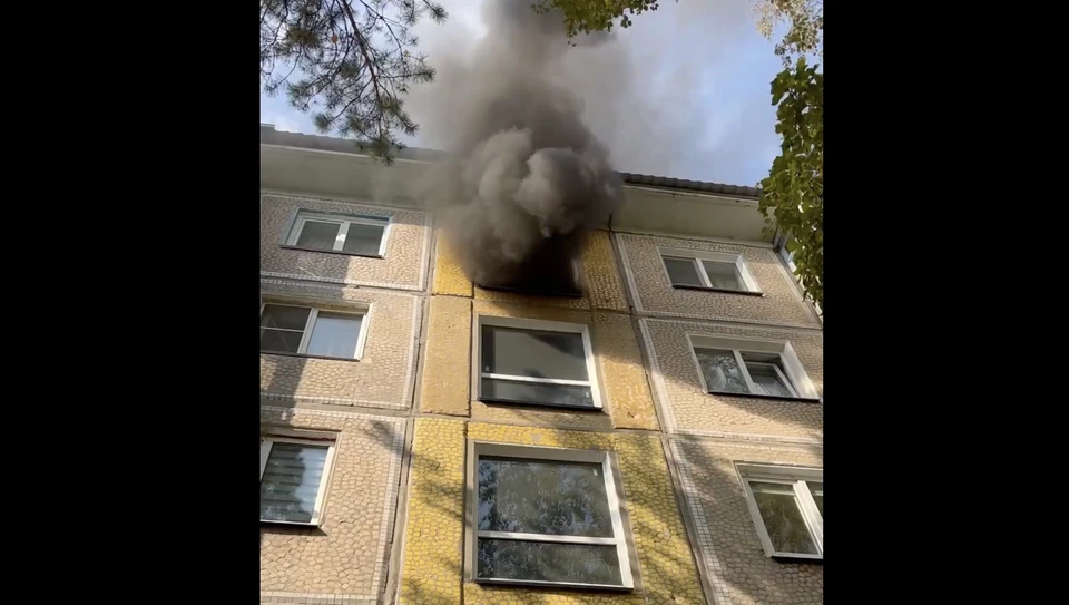 Фото: скриншот видео.