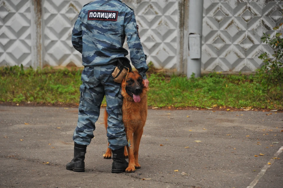 Угрозы минирования судов Кисловодска пришли второй раз за день