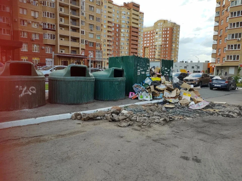 Мэрию обязали в течение двух месяцев с момента вступления решения в силу обустроить площадку для накопления отходов