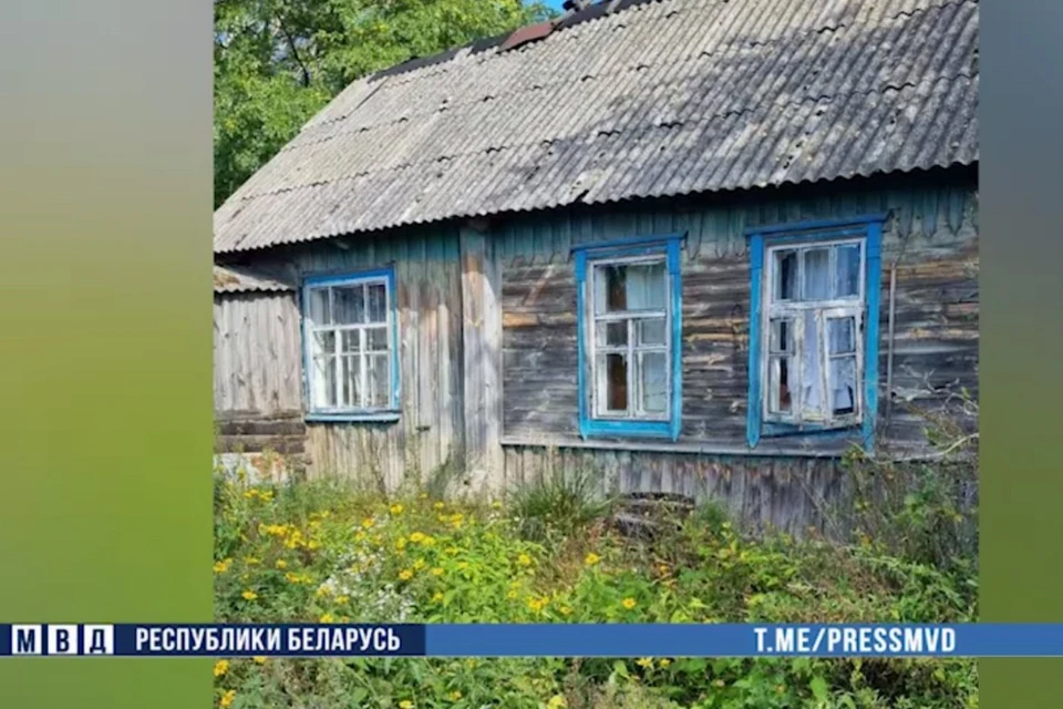 Жительницу Чериковского района ограбил сидевший в России белорус. Фото: стоп-кадр | видео МВД.