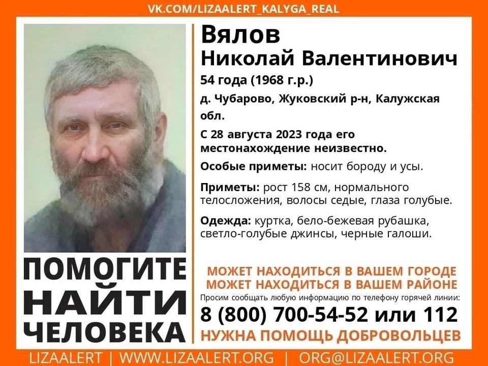 Фото: ДПСО "Лиза Алерт" Костромской области