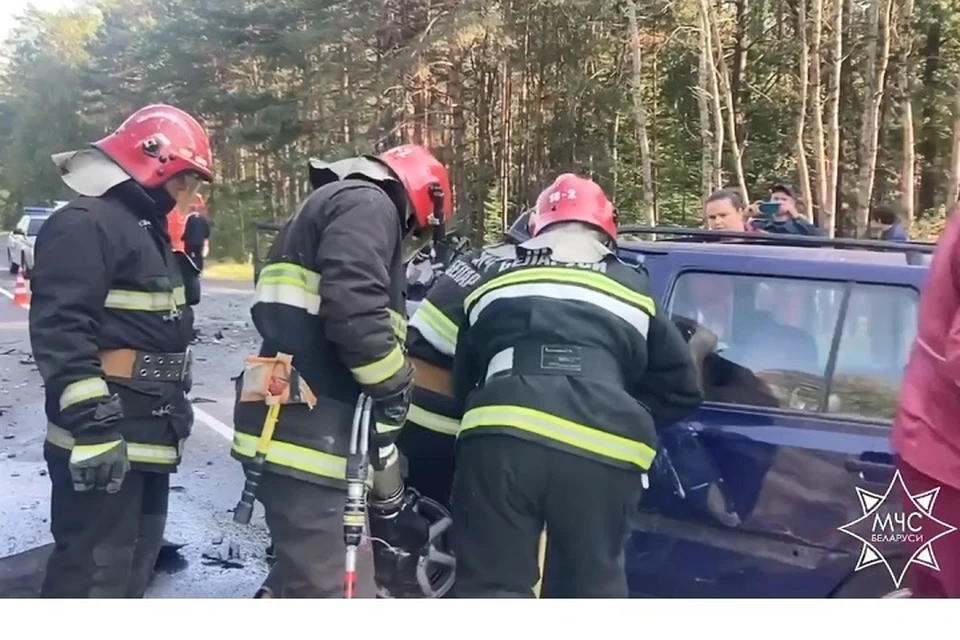 В Речицком районе в лобовом столкновении погиб один из водителей. Фото: стоп-кадр | видео МЧС.