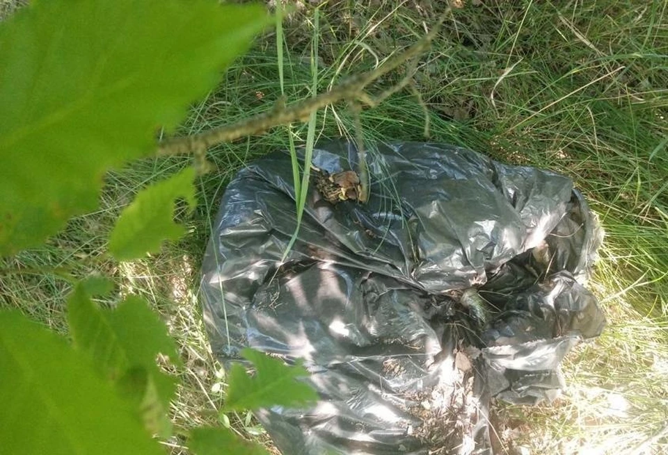 Фото: УФСБ России по Волгоградской области