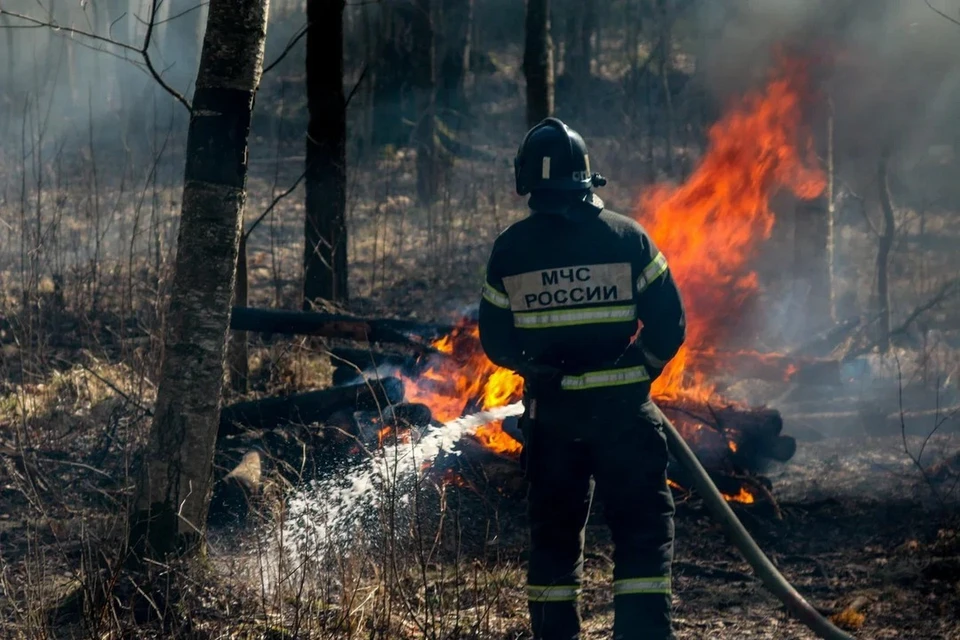 В Ленобласти 2 октября официально завершился пожароопасный сезон. Фото: МЧС России