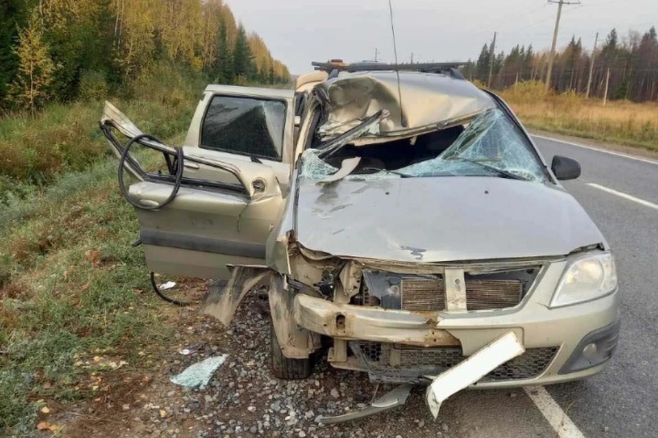 Пенсионер погиб на месте ДТП. Фото: первый отдел УГИБДД МВД по Удмуртии