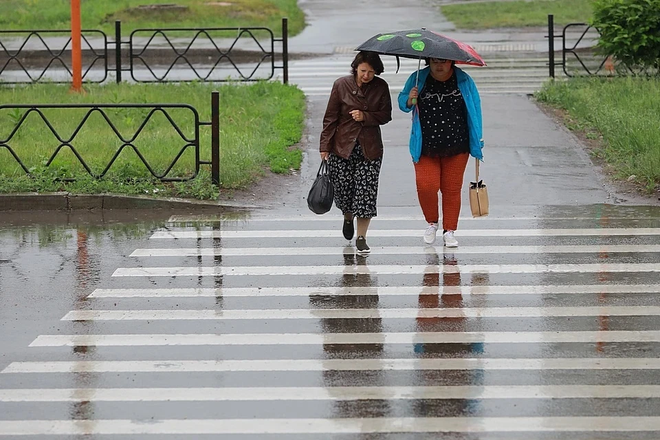 До четверти месячной нормы осадков выпало в отдельных районах Москвы 6 октября