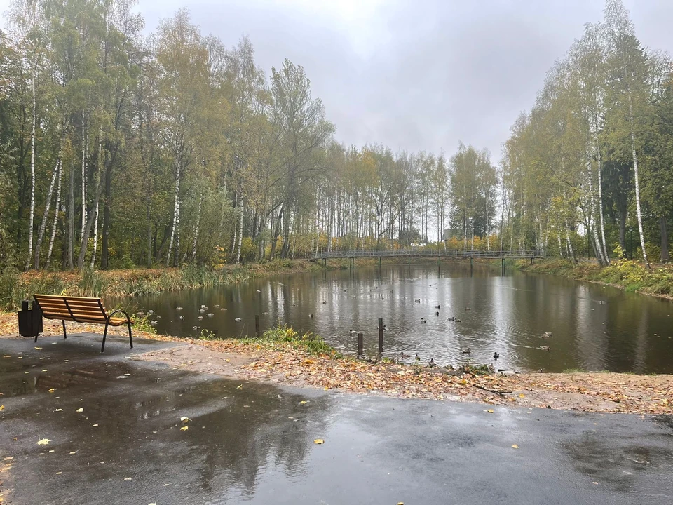 Источник: gradkostroma.gov.ru