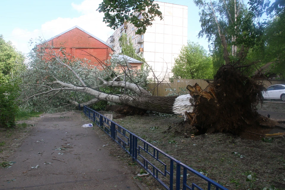 Причиной завала дерева стали сильные порывы ветра