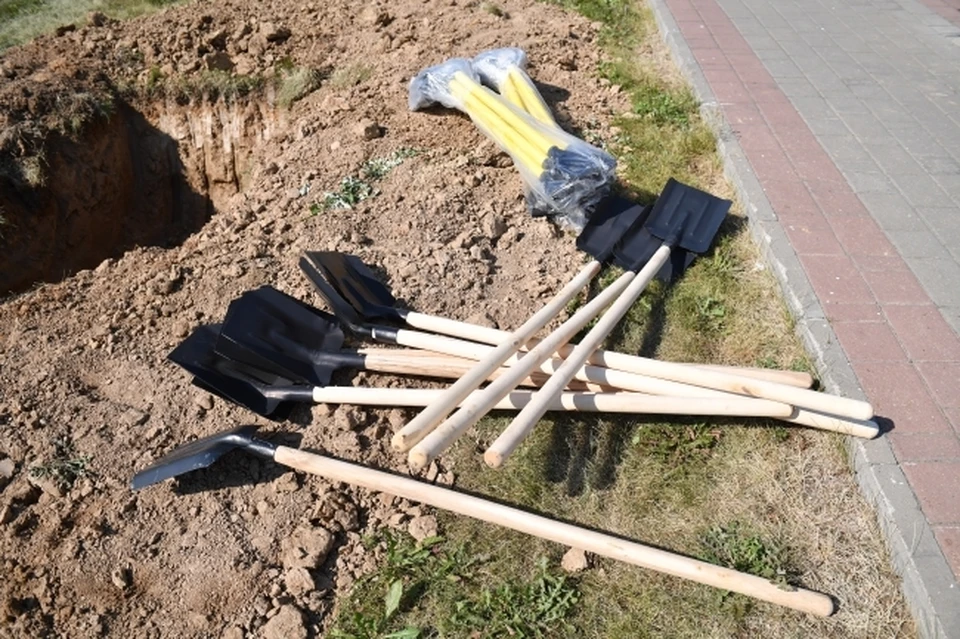 Жителей Татарстана приглашают принять участие в посадке деревьев.