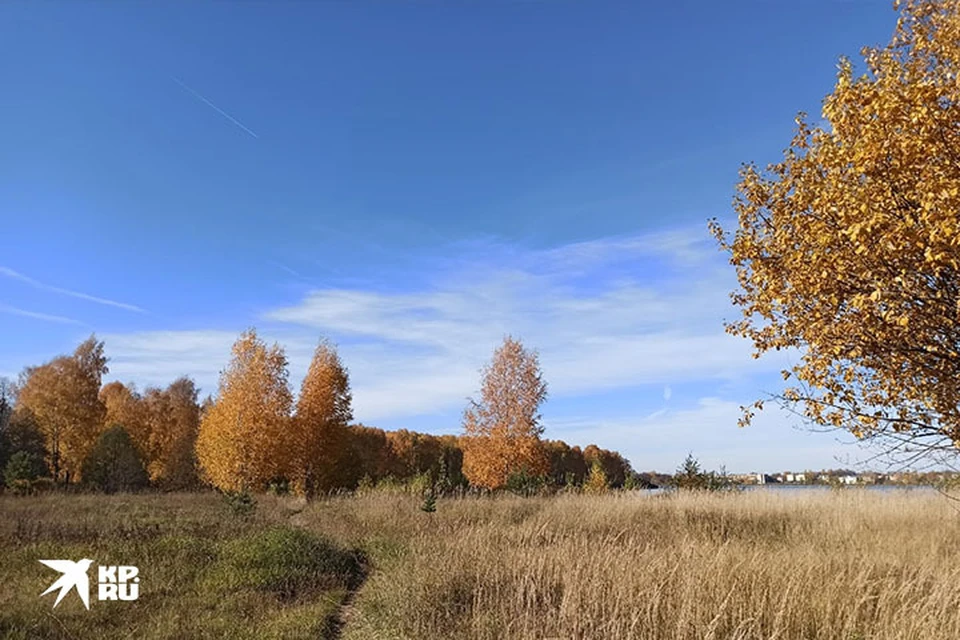 В Тверской области ожидается усиление ветра