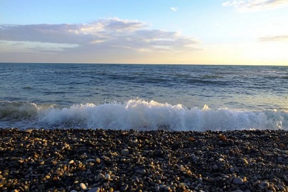 Фото: sochi.ru