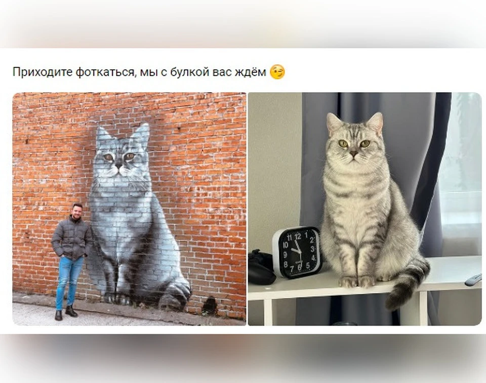 В одном из городов Коми появился пушистый арт-объект