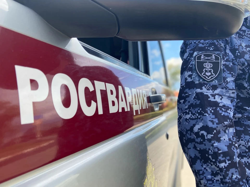 Росгвардейцы помогли женщине, пострадавшей в ДТП на Радищева в Ульяновске | ФОТО: Управление Росгвардии по Ульяновской области