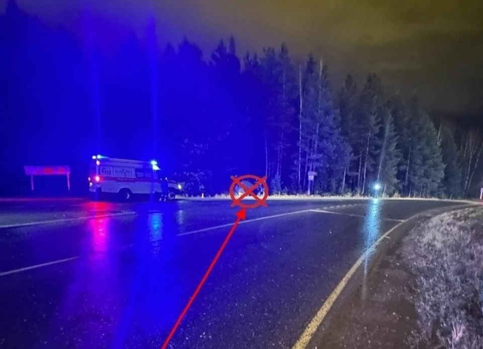 Фото: управление ГИБДД по Коми