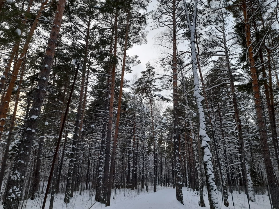 Погода на Ямале на 19 октября