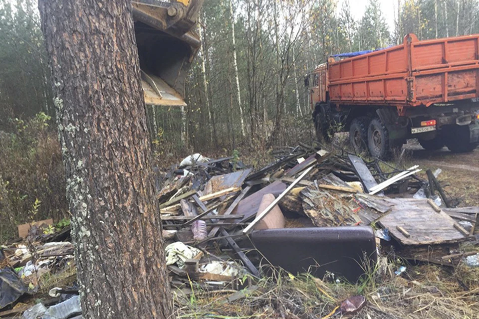В лесу под Тверью ликвидировали свалку бытового мусора Фото: Минприроды Тверской области