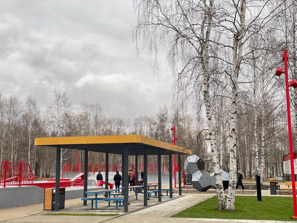 Помимо скейт-парка. здесь есть скалодром, гамаки, качели и т.д. Фото: Центр развития городской среды Томской области