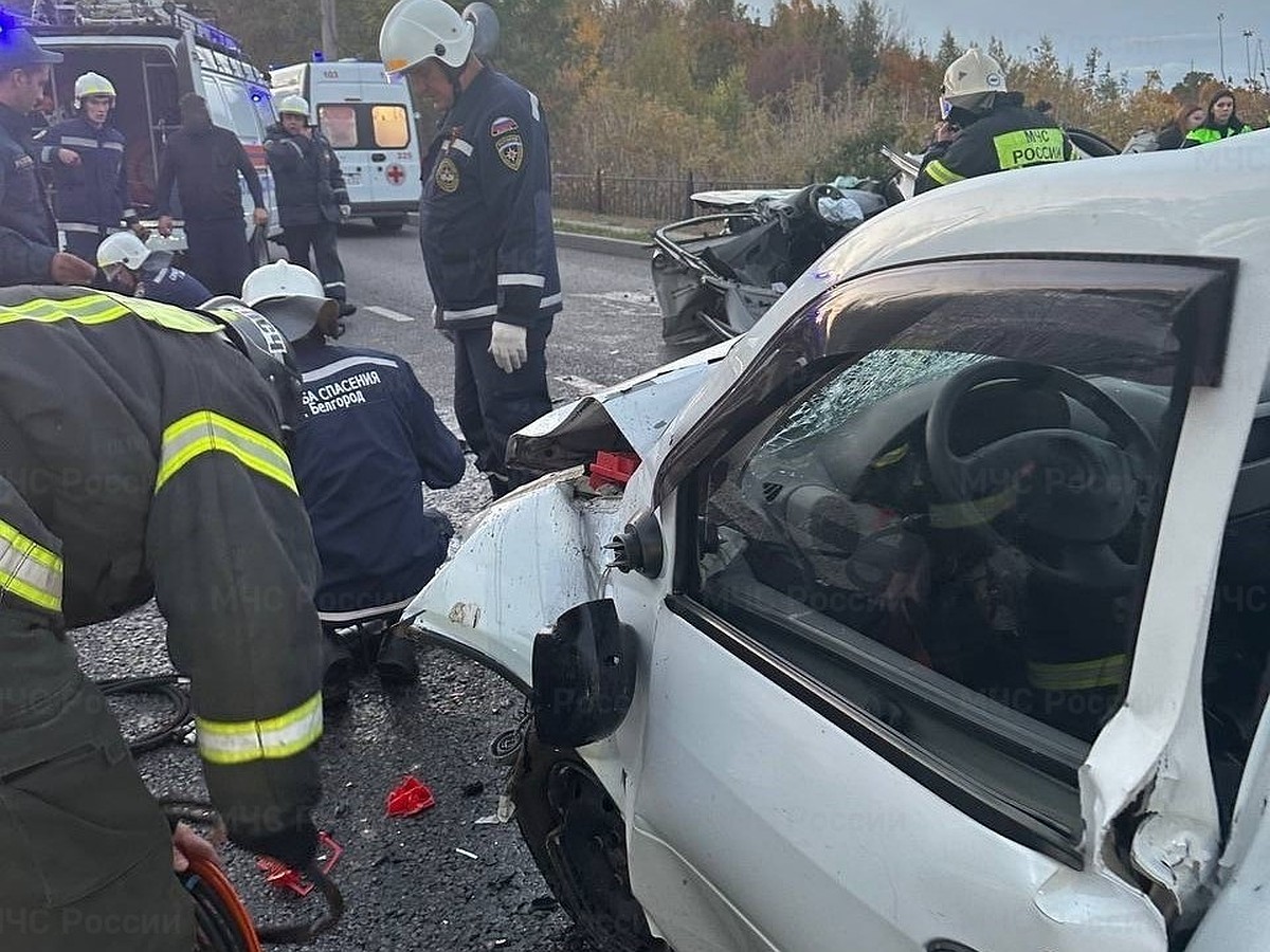 Белгородские спасатели извлекли двух пострадавших в ДТП с помощью ГАСИ -  KP.RU